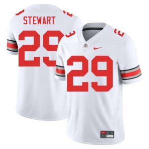 Deshawn Stewart #29 White Men Stitched Jersey | Iconic Ohio State NCAA Football Gear 67600987