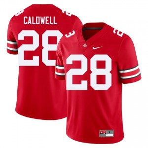 Scarlet #28 Simeon Caldwell Men Embroidery Jersey | Ohio State Buckeyes Exclusive High School Football Edition 43764741