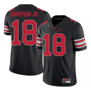 Ohio State Marvin Harrison Jr. #18 Black Men High School 2026 Jersey | Premium Stitched Football Uniform 92856699