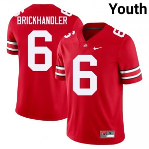 OSU Buckeyes Eli Brickhandler #6 Scarlet Youth College Jersey | Premium Embroidery Football Uniform 63451578