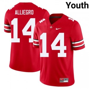 OSU Buckeyes Christian Alliegro #14 Scarlet Youth Player Jersey | Exclusive Stitch Football Uniform 92005311
