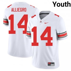 White #14 Christian Alliegro Youth Embroidery Jersey | Ohio State Pro Cut High School Football Edition 56618523