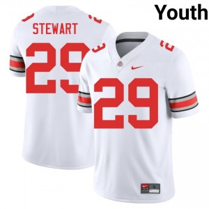 White #29 Deshawn Stewart Youth Stitched Jersey | Ohio State Licensed University Football Edition 49241565